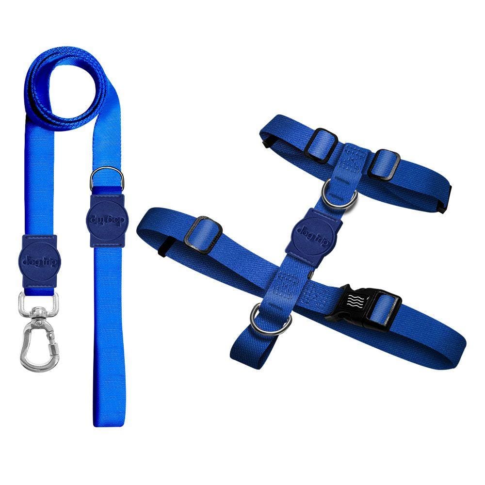 Kit Guia Premium + Peitoral H Classic Blue Dog Trip Brasil