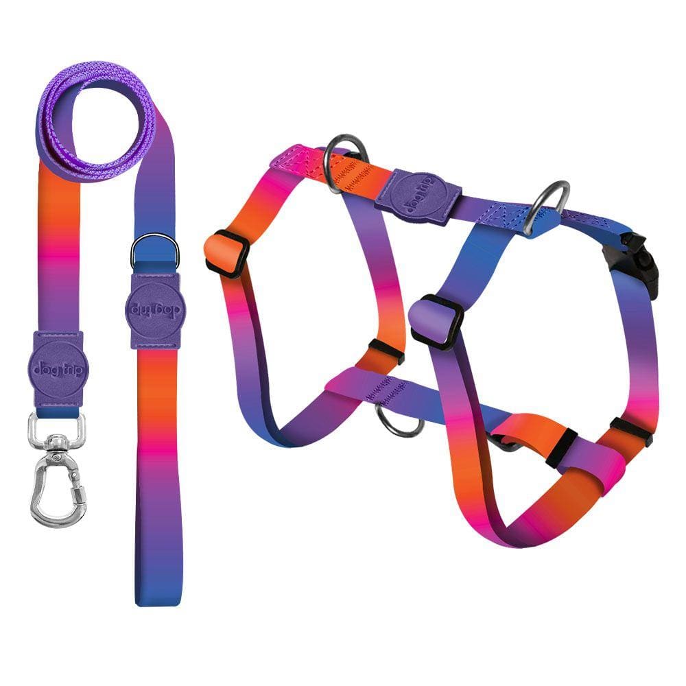 Kit Guia Premium + Peitoral Smart Padang Dog Trip Brasil