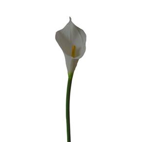 Kit 6 flores artificiais copo de leite branco