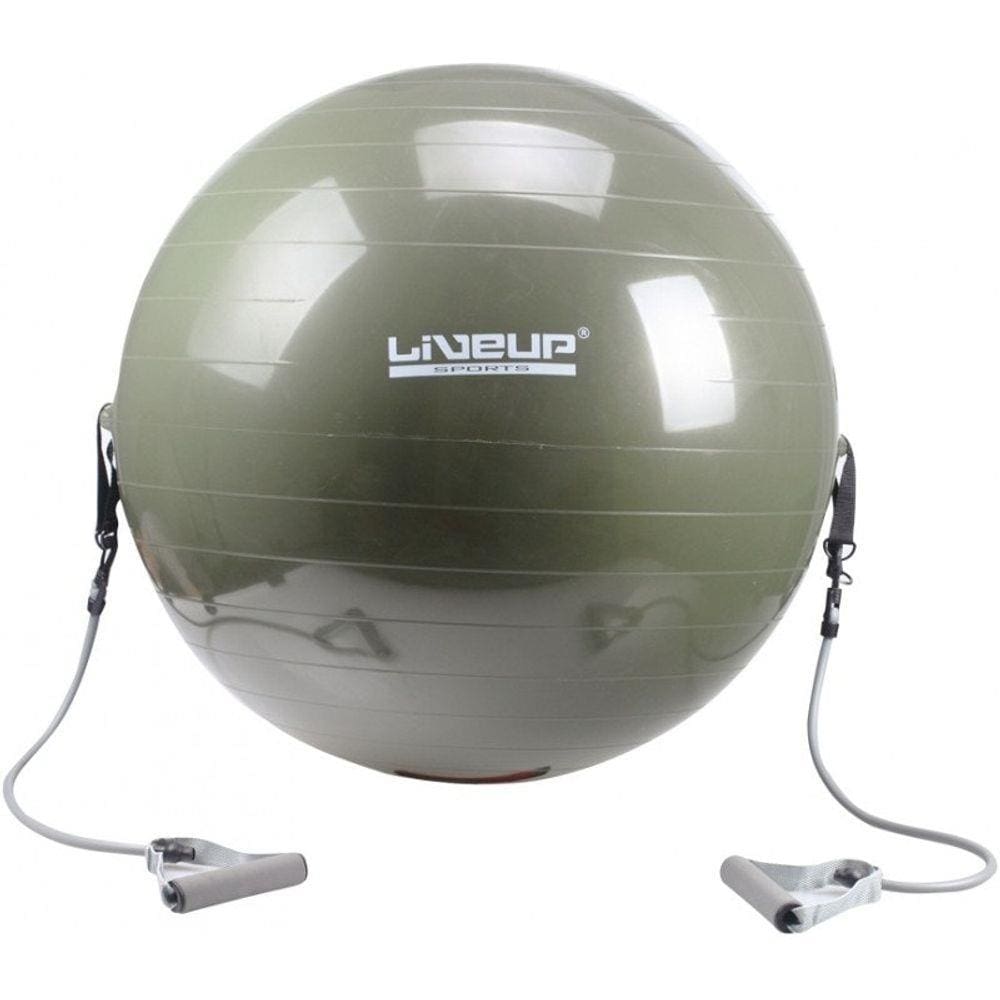 Bola Suíça para Pilates 65 CM com Extensores LIVEUP LS3227