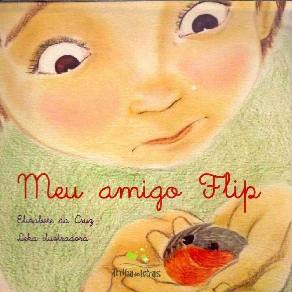 Meu Amigo Flip