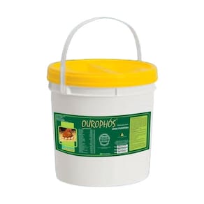 Ourophós Aves Postura - Núcleo Para Fazer Ração Aditivo 5Kg