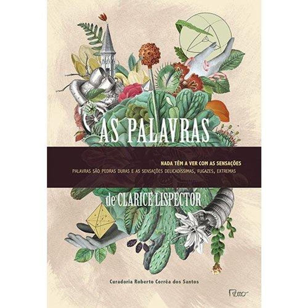 As palavras: Nada têm a ver com as sensações, palavras são pedras duras e sensações delicadíssimas, fugazes, extremas