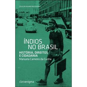 Índios No Brasil
