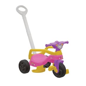 Triciclo Encantado Completo - Pais e Filhos