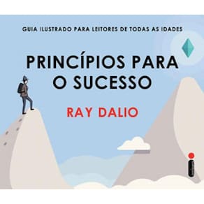 Princípios Para O Sucesso