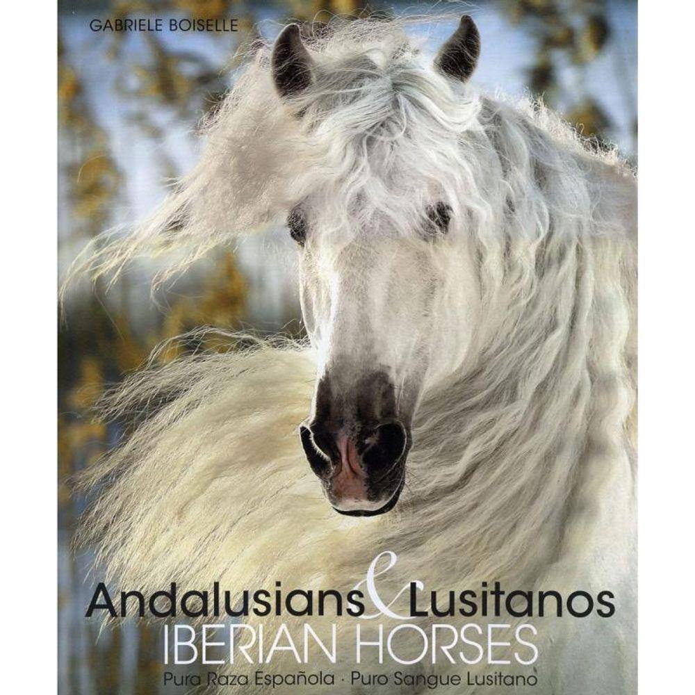 Andalusians E Lusitanos Iberian Horses