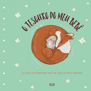 Tesouro Do Meu Bebe: Livro De Record. - Capa Verde