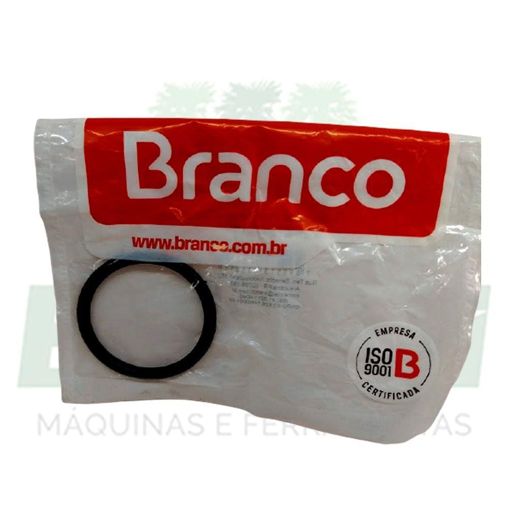 Anel O Ring Porta Rotor Para Motor B4T 710L BD 710CF XS Branco 10810840