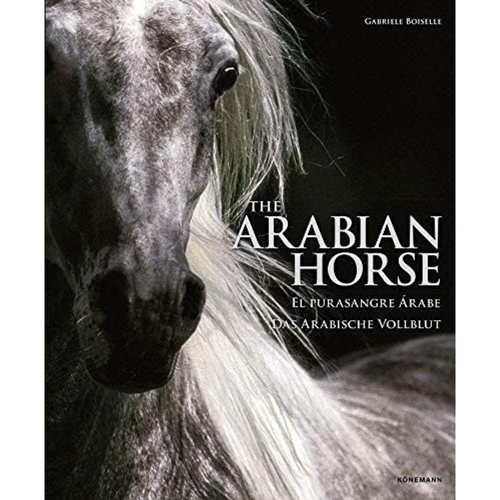 The Arabian Horses