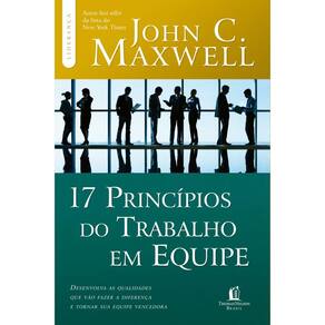 17 princípios do trabalho em equipe