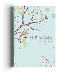 Bíblia NVI gigante Novo Testamento - 2 Cores capa especial - Um tempo especial com Deus