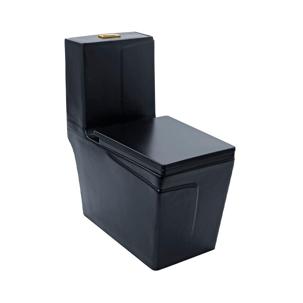 Vaso Sanitário Monobloco Topázio Pingoo.casa - Preto