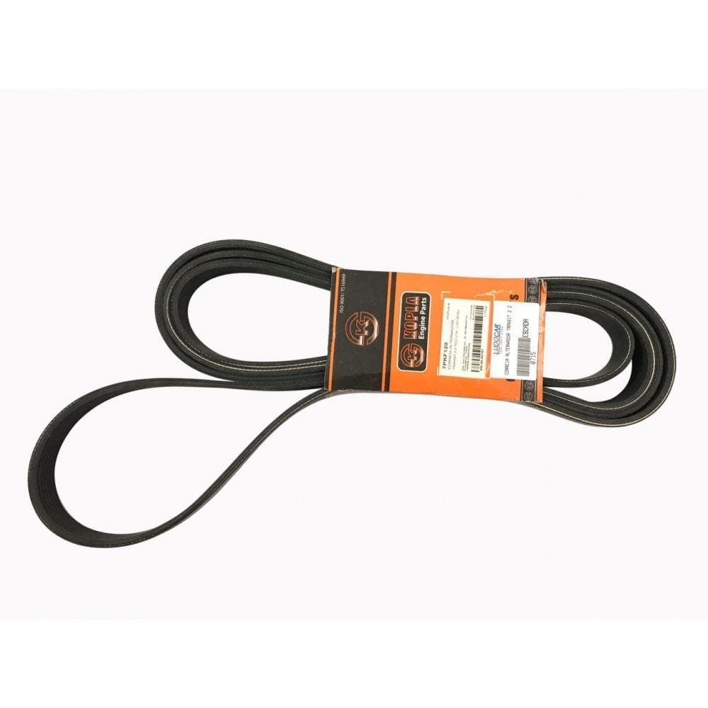 Correia Alternador Transit 2.2