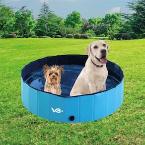 Piscina Para Cachorro Pets Dobrável Azul 80 cm x 20 cm VG+