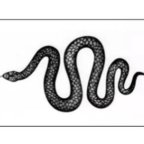 Tatuagem Temporária 3 Peças Rosa Serpente Adesivo T5467