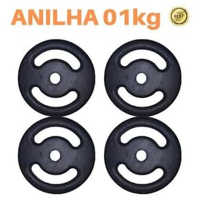 Kit 4 X Anilhas Super Premium De 1Kg Ferro Pintada