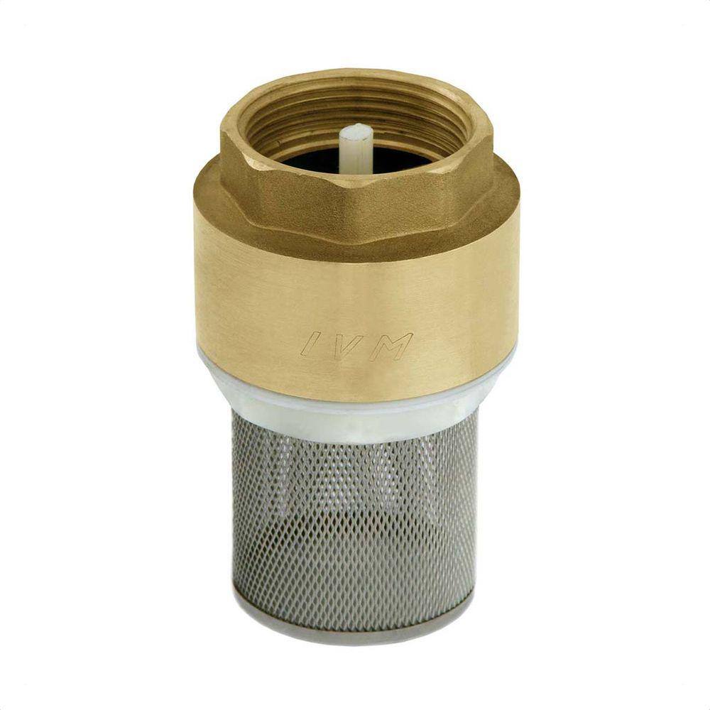 Válvula De Retenção Sucção De 1/2 Filtro Inox Ivm Italy