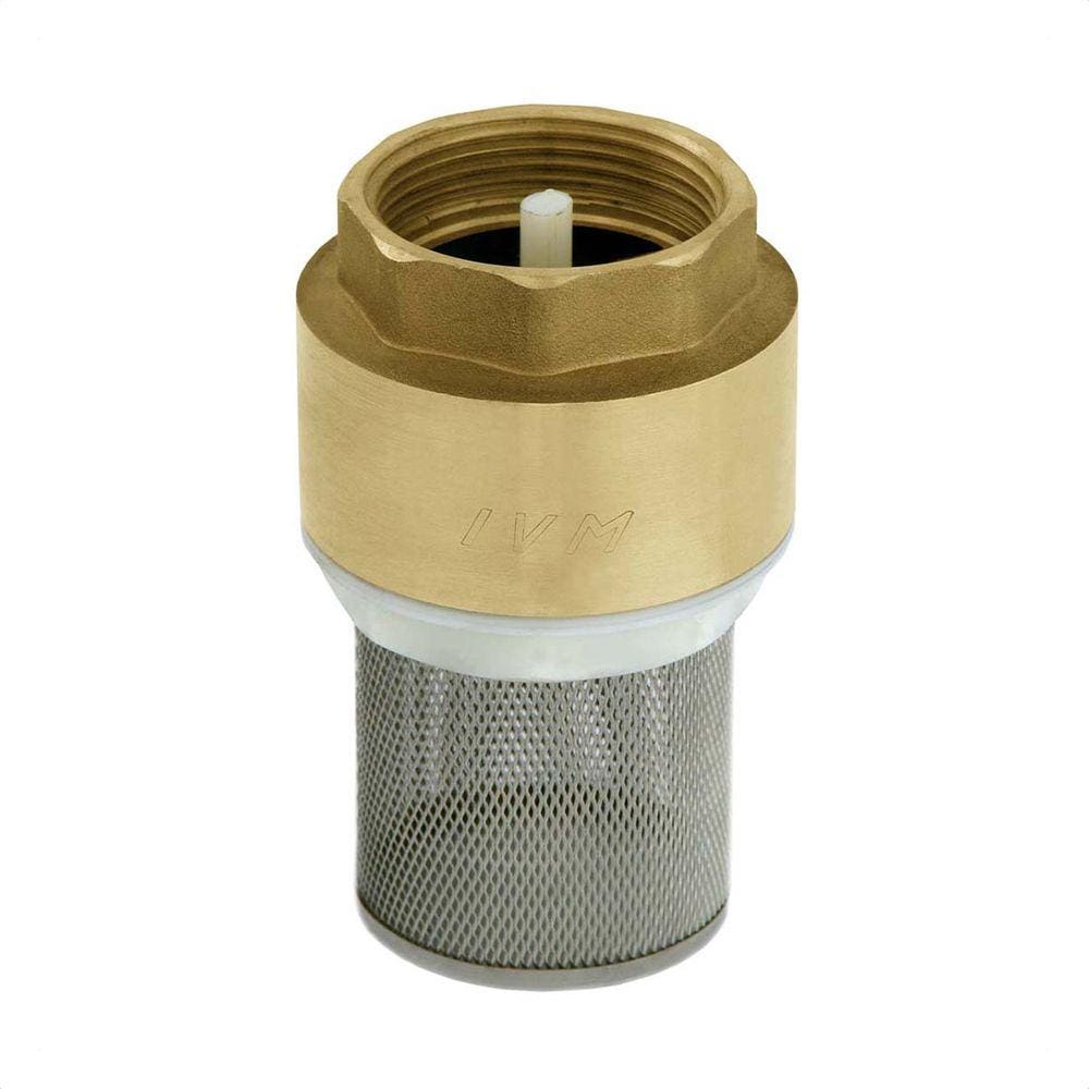 Válvula De Retenção Sucção De 1.1/2 Filtro Inox Ivm Italy