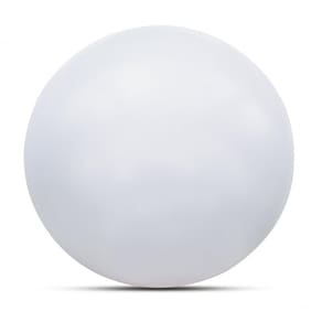 Plafon Redondo de Sobrepor Smart Led em Acrílico 27cm 10W 3000k 220V Bronzearte 6400K Luz Branca