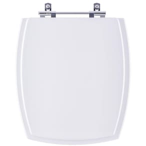 Assento Sanitário Acrílico Anturius Branco Luzarte