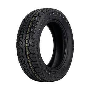 Pneu Speedmax Aro 18 W01 215/55R18 95T