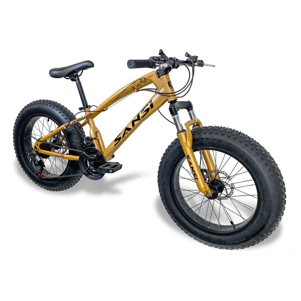 Bicicleta Fat Bike Aro 20 Pneus 4.0 Freios Disco 21V Bronze