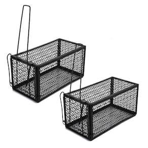 Ratoeira Gaiola Grande Kit 2 Unidades Armadilha Rato Ratazana Roedores Camundongos Captura
