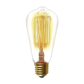 Lâmpada Filamento de Carbono Taschibra ST64 40W E27