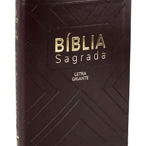 Livro Bíblia Sagrada - Naa - Marrom Com Índice - Média Lgig