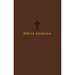 Bíblia Sagrada Acf Letra Grande - Capa Marrom