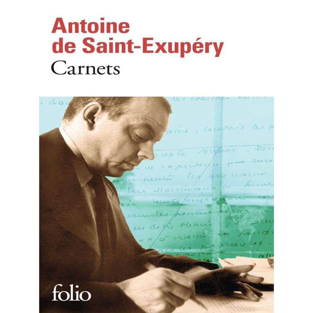 Infidelidade Conjugal E Processos De Apego