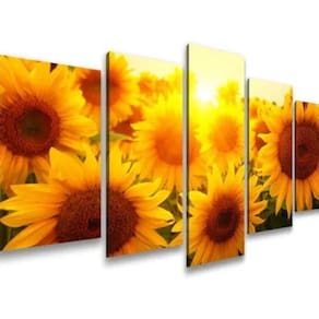 Quadros Decorativos Para Sala Girassol Por Do Sol Natureza