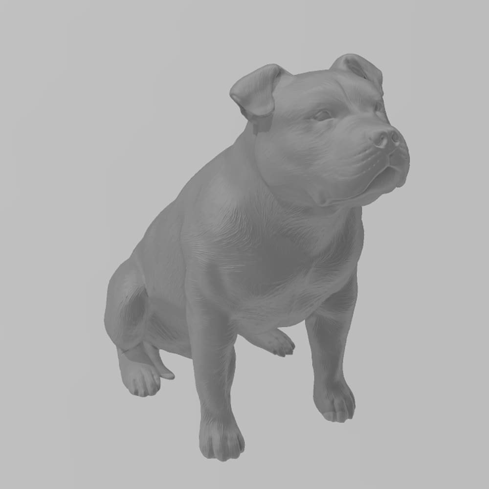 Pitbull Macho Orelha Baixa Decoração 3D