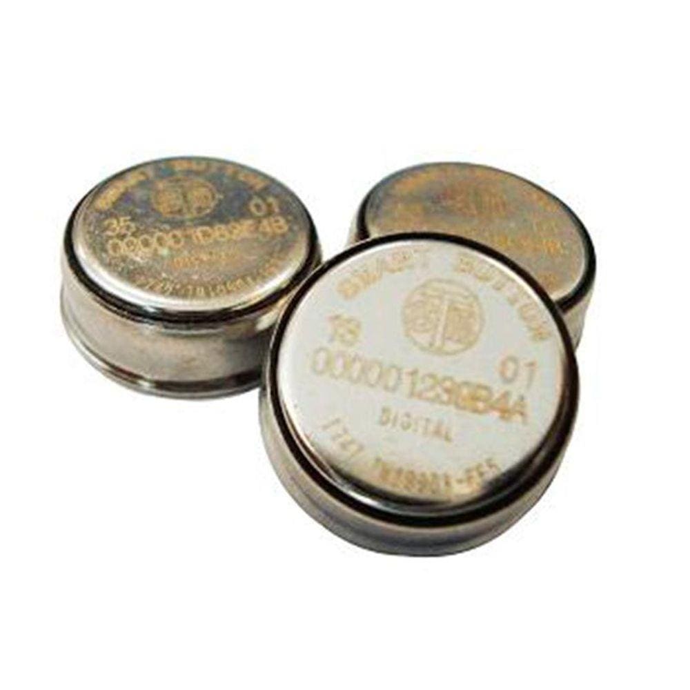 IButton para Vigia Bastão