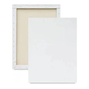 Kit com 5 Tela Para Pintura 20x30cm