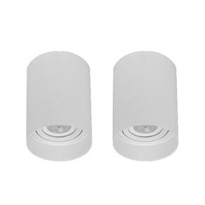 Kit 2 Plafon Sobrepor Redondo Branco Direcionavel Par20