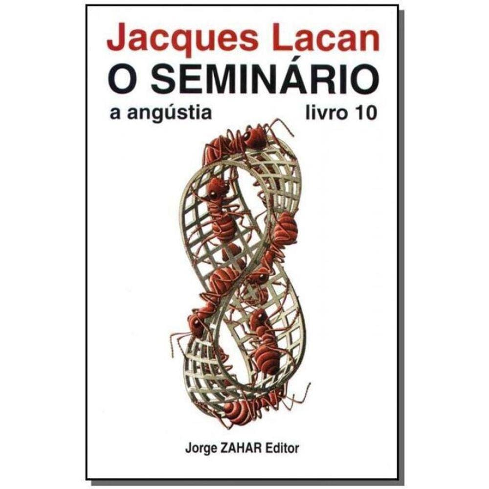 o Seminário, Livro 10 - a Angústia