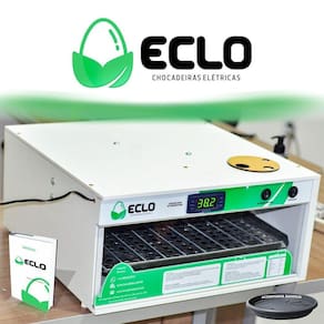 Chocadeira Automática 90 Ovos De Galinha + Ovoscópio 110V