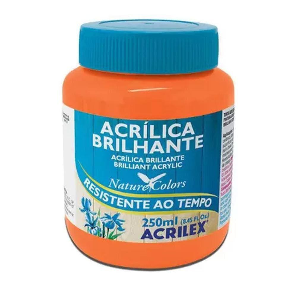 Tinta Acrílica Brilhante Laranja 517 (250Ml.)