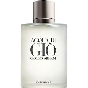 Acqua Di Gio De Giorgio Armani Masculino 100 Ml