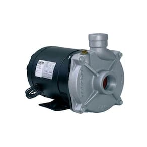 Bomba Centrífuga CAM-W10 2 CV 220/380V Trifásica Dancor