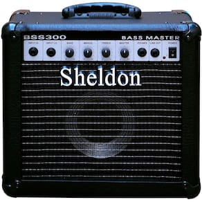 Caixa Amplificada Sheldon Bss300 30W 110/220V Contrabaixo