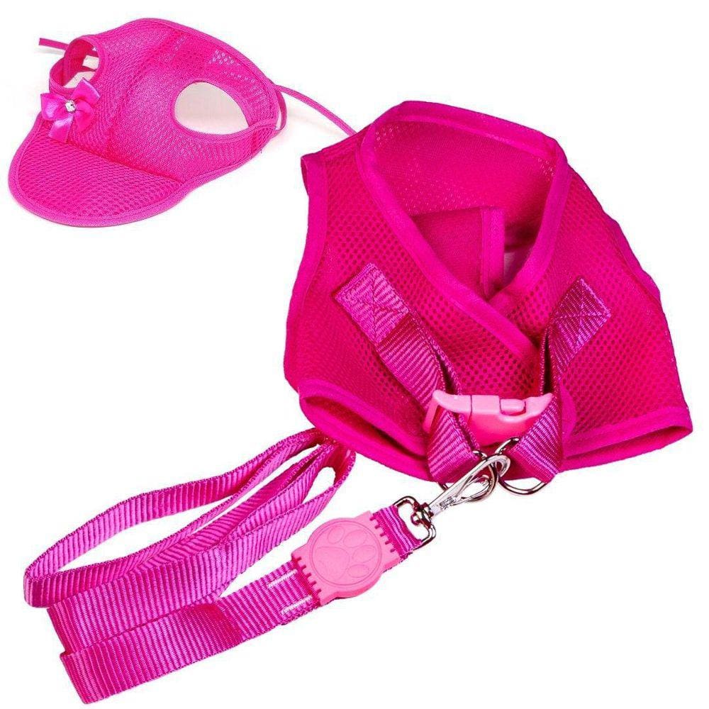Kit Colete Aerado Com E Boné Aerado Rosa Gg - Pet