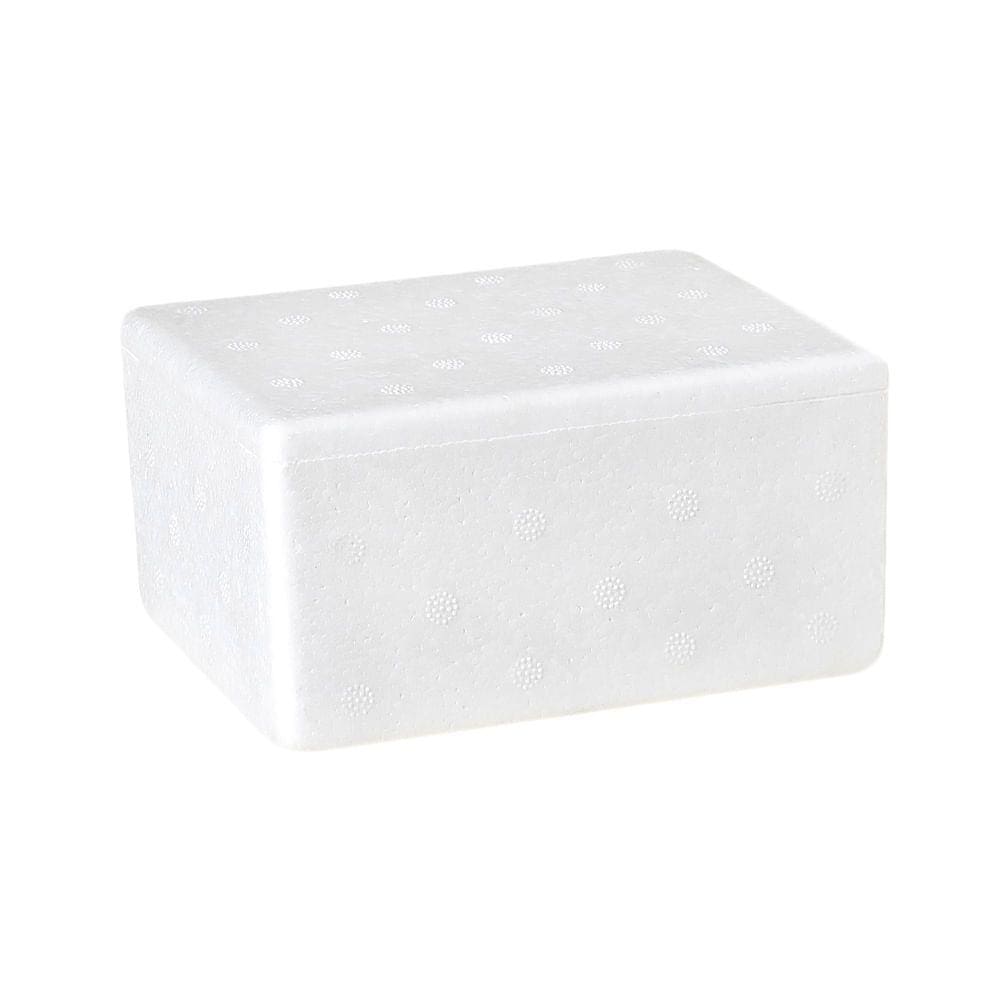 Caixa Térmica Isopor 500g