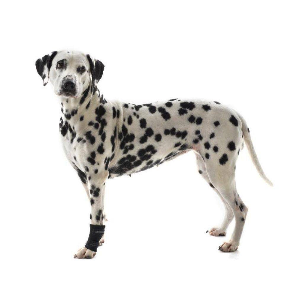 Protetor De Carpo Pet Para Cachorro Pet Kruuse Rehab Tam Gg