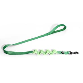 Guia Amortecedor Verde 2,5 x 120cm Mimo - PP063