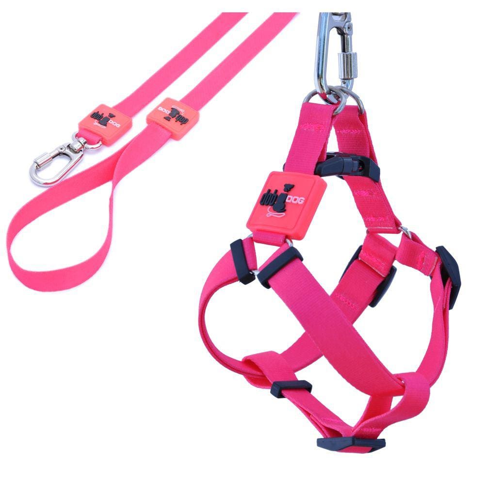 Coleira Peitoral Cachorros com Guia Pink P Style