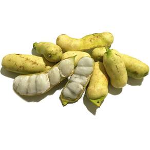 Muda Ingá Banana 90cm
