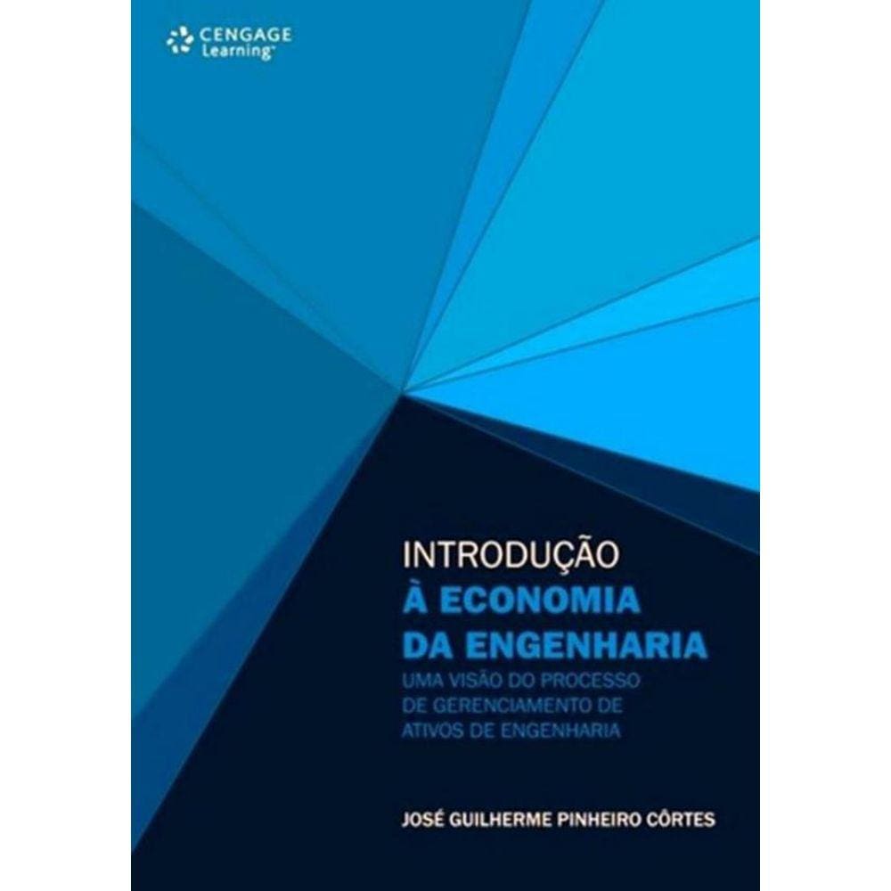 Introducao A Economia Da Engenharia - Uma Visao Do Processo De Gerenciamento De Ativos De Engenharia